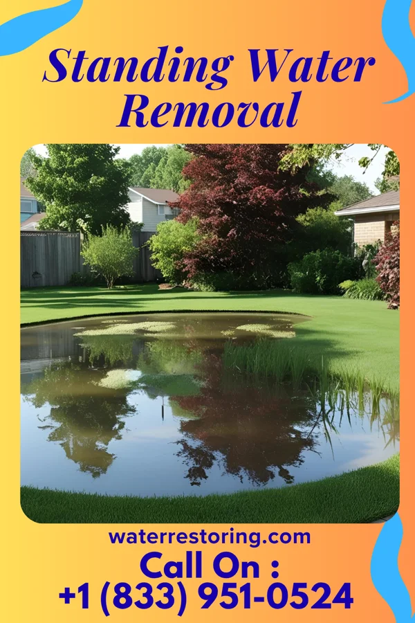 Standing Water Removal in Saltville, VA